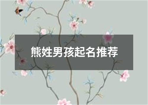 熊姓男孩起名推荐