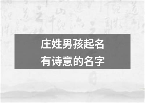 庄姓男孩起名有诗意的名字