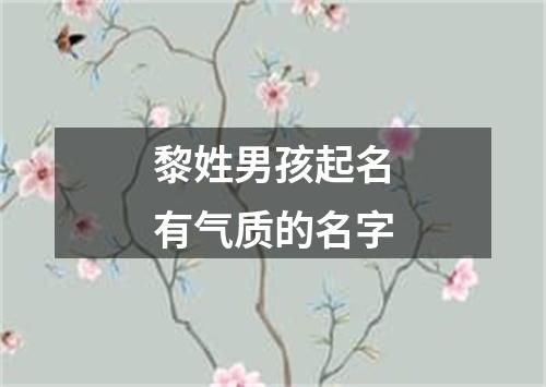 黎姓男孩起名有气质的名字