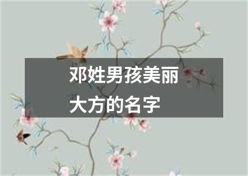 邓姓男孩美丽大方的名字