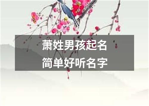 萧姓男孩起名简单好听名字