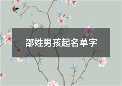 邵姓男孩起名单字