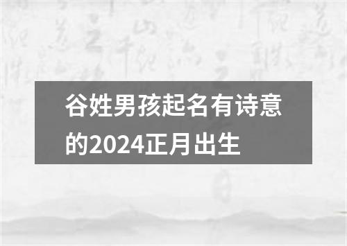 谷姓男孩起名有诗意的2024正月出生