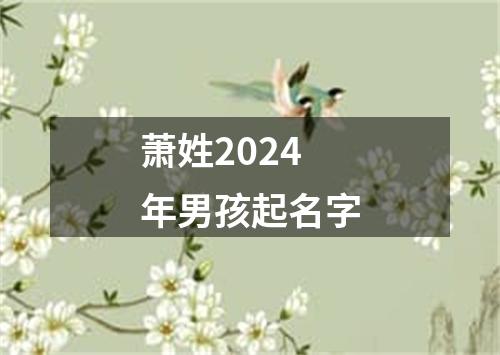 萧姓2024年男孩起名字