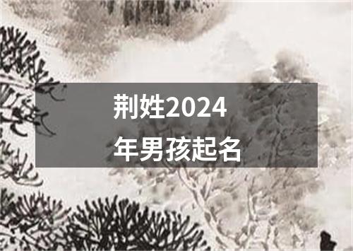 荆姓2024年男孩起名