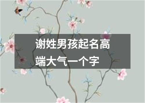 谢姓男孩起名高端大气一个字