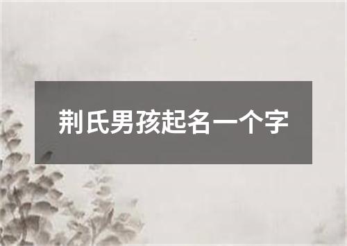 荆氏男孩起名一个字