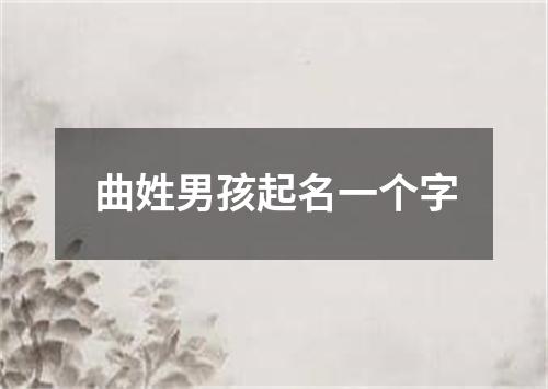 曲姓男孩起名一个字