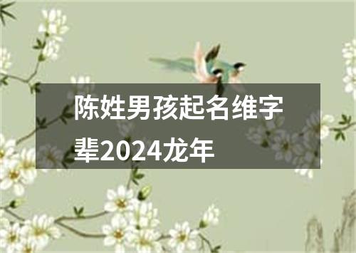 陈姓男孩起名维字辈2024龙年