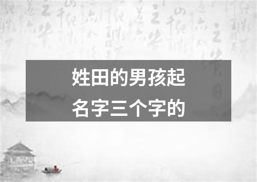 姓田的男孩起名字三个字的