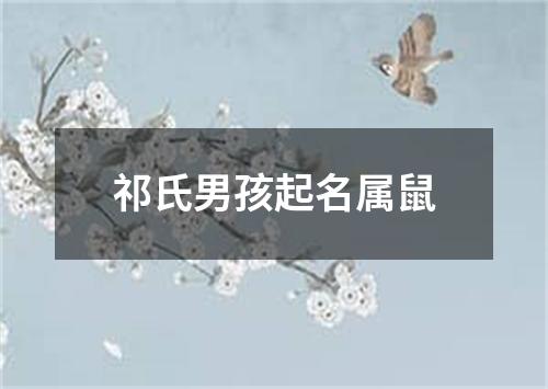 祁氏男孩起名属鼠