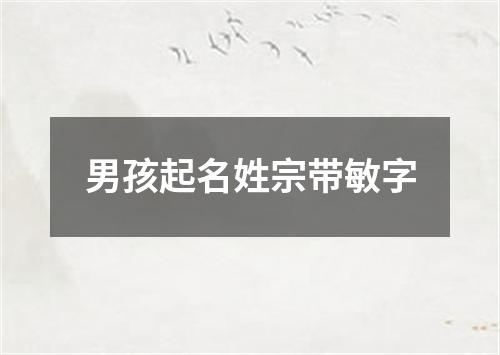 男孩起名姓宗带敏字