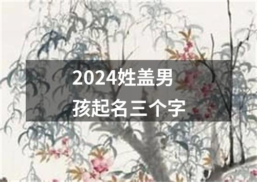 2024姓盖男孩起名三个字