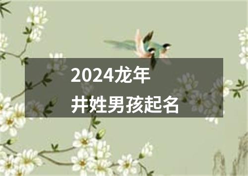 2024龙年井姓男孩起名