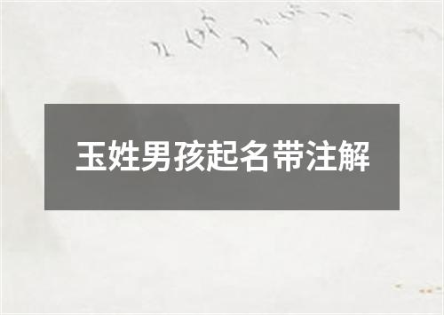 玉姓男孩起名带注解