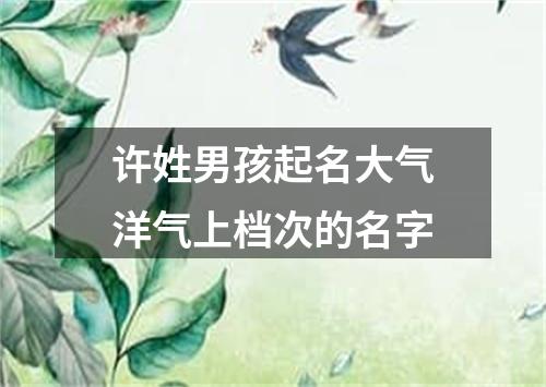 许姓男孩起名大气洋气上档次的名字