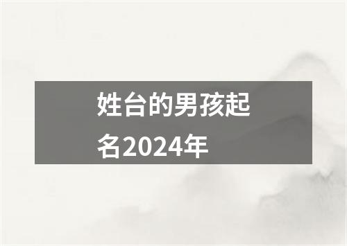 姓台的男孩起名2024年