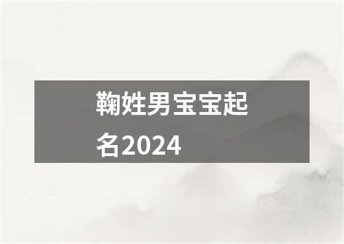 鞠姓男宝宝起名2024