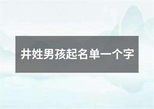 井姓男孩起名单一个字