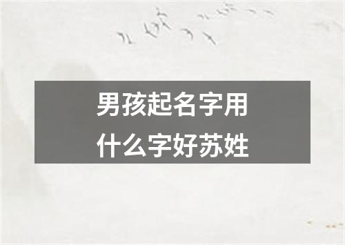 男孩起名字用什么字好苏姓