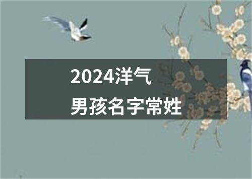 2024洋气男孩名字常姓