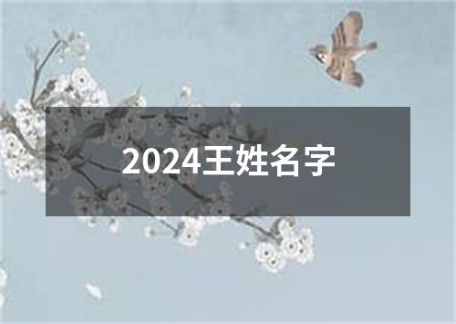 2024王姓名字