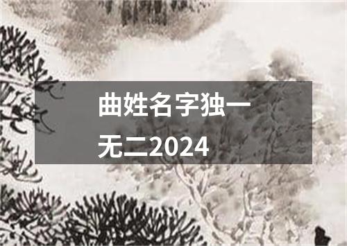 曲姓名字独一无二2024