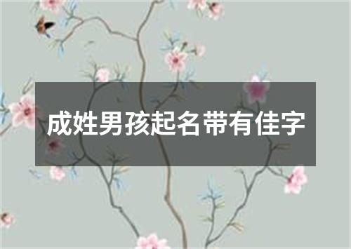 成姓男孩起名带有佳字