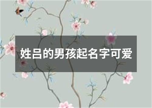 姓吕的男孩起名字可爱