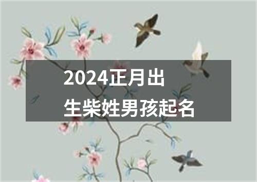 2024正月出生柴姓男孩起名