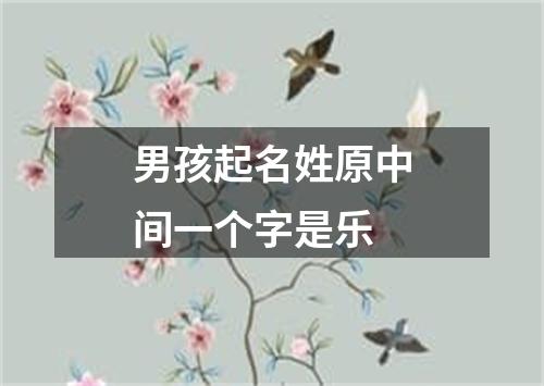 男孩起名姓原中间一个字是乐