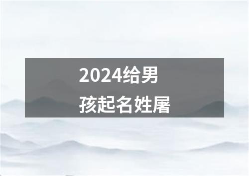 2024给男孩起名姓屠