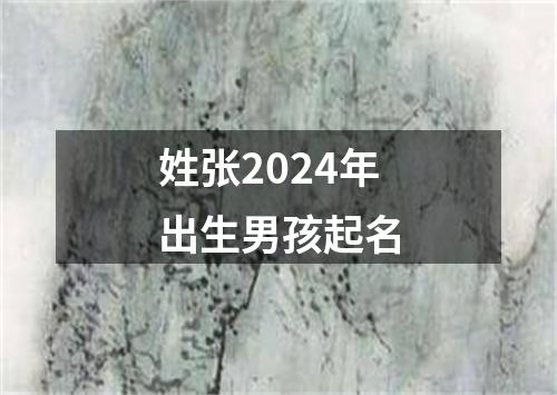 姓张2024年出生男孩起名