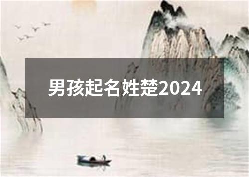 男孩起名姓楚2024