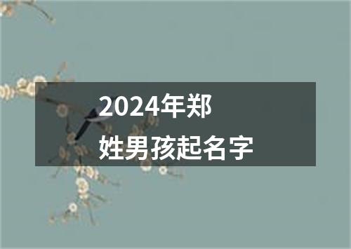 2024年郑姓男孩起名字