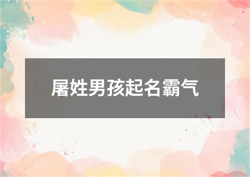 屠姓男孩起名霸气