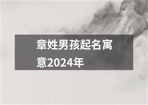 章姓男孩起名寓意2024年