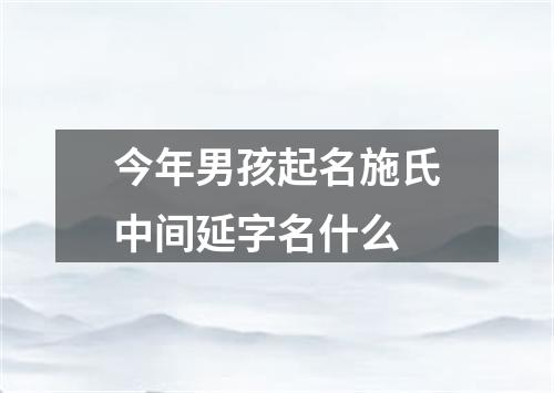 今年男孩起名施氏中间延字名什么