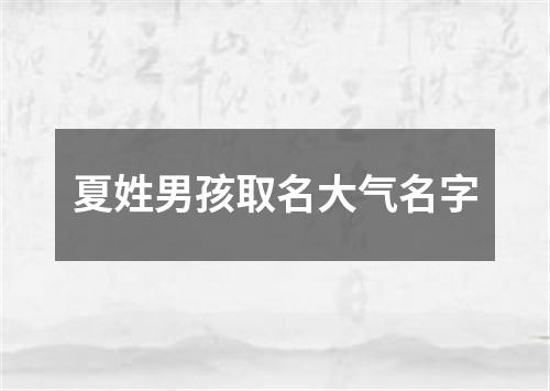 夏姓男孩取名大气名字