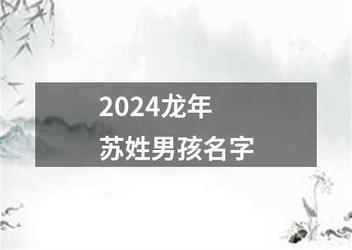 2024龙年苏姓男孩名字