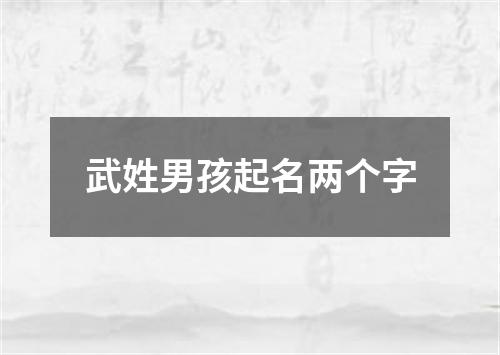 武姓男孩起名两个字