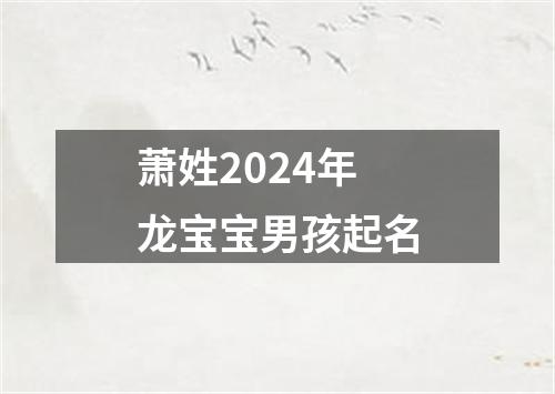 萧姓2024年龙宝宝男孩起名