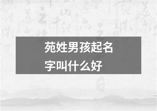 苑姓男孩起名字叫什么好