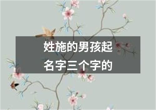 姓施的男孩起名字三个字的