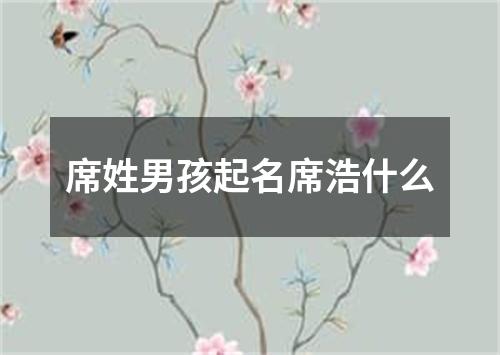 席姓男孩起名席浩什么