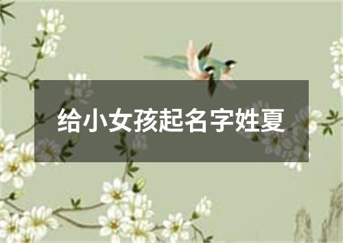 给小女孩起名字姓夏