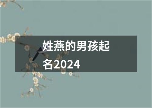 姓燕的男孩起名2024