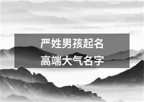 严姓男孩起名高端大气名字