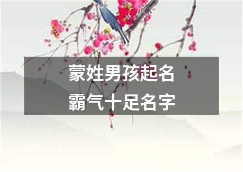 蒙姓男孩起名霸气十足名字