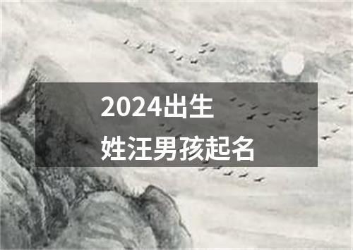 2024出生姓汪男孩起名